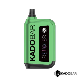 Kado Bar Rizz Miami Mint Disposable Vape – 25000 Puffs