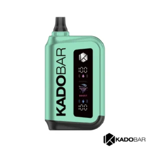 Simply Mint Kado Bar Rizz 25000 Puffs Disposable Vape